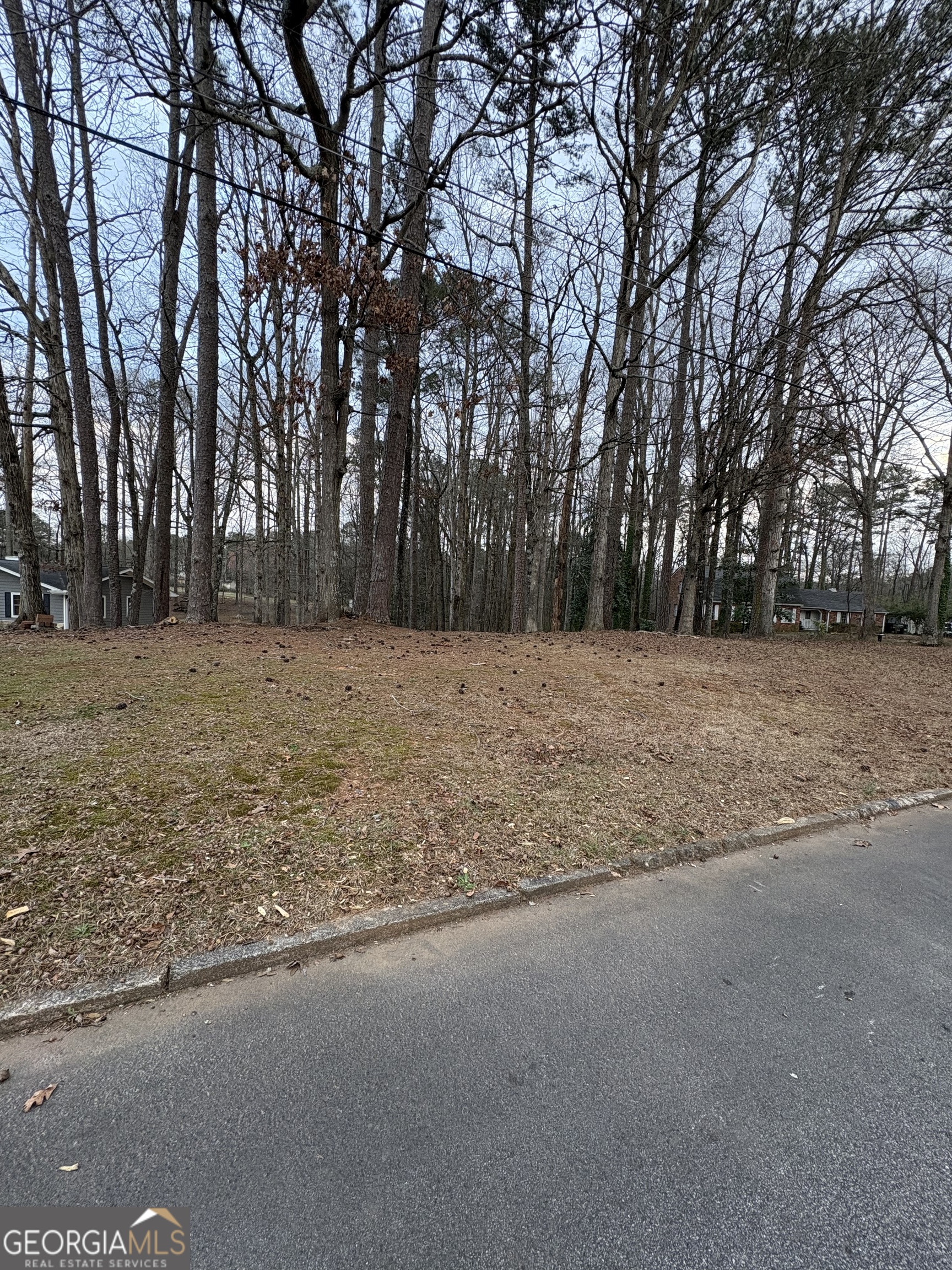0 Azalea Drive Fairburn GA 30213