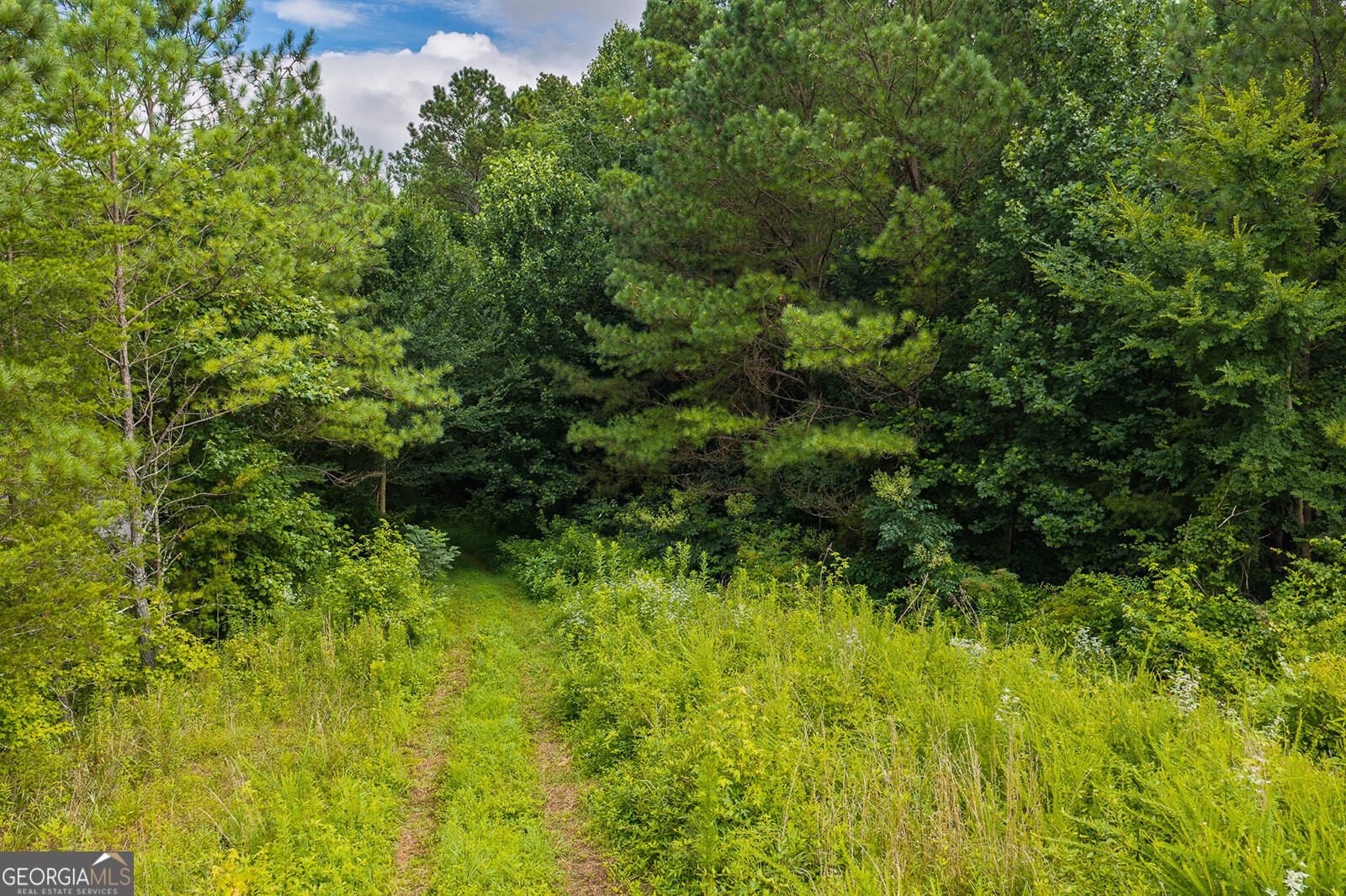 2027 Pleasant Valley Road Talking Rock GA 30175