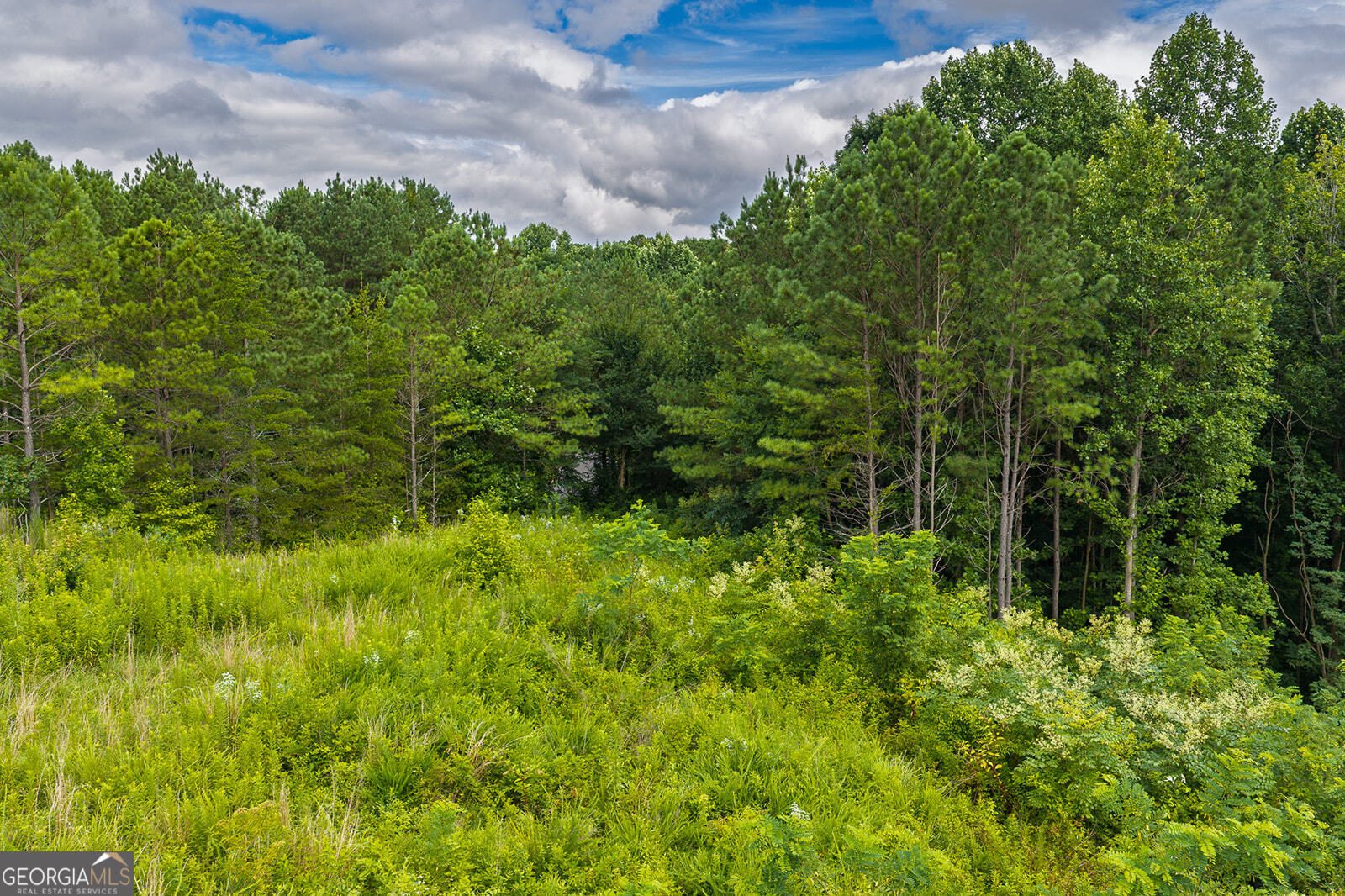 2027 Pleasant Valley Road Talking Rock GA 30175
