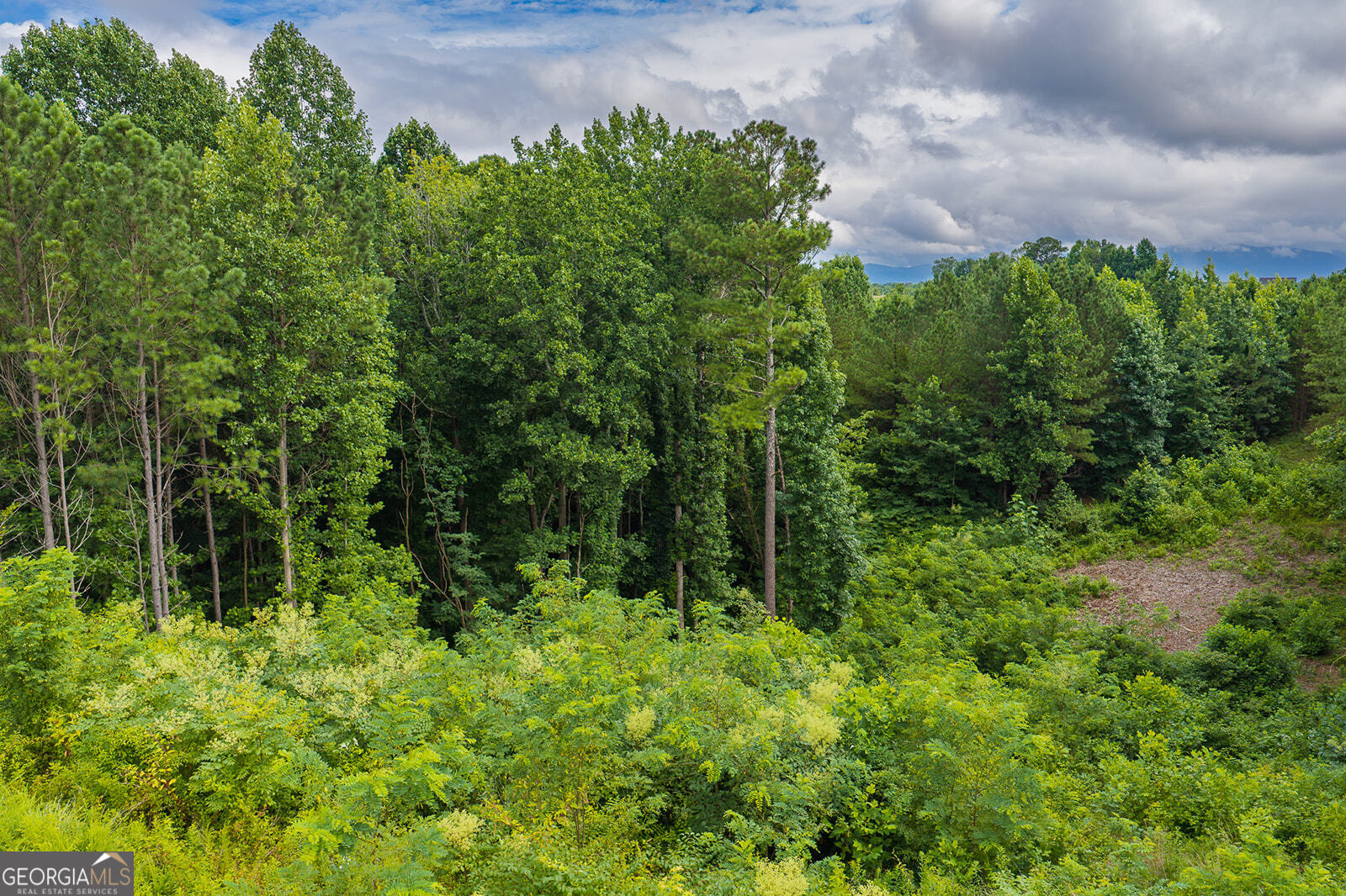 2027 Pleasant Valley Road Talking Rock GA 30175
