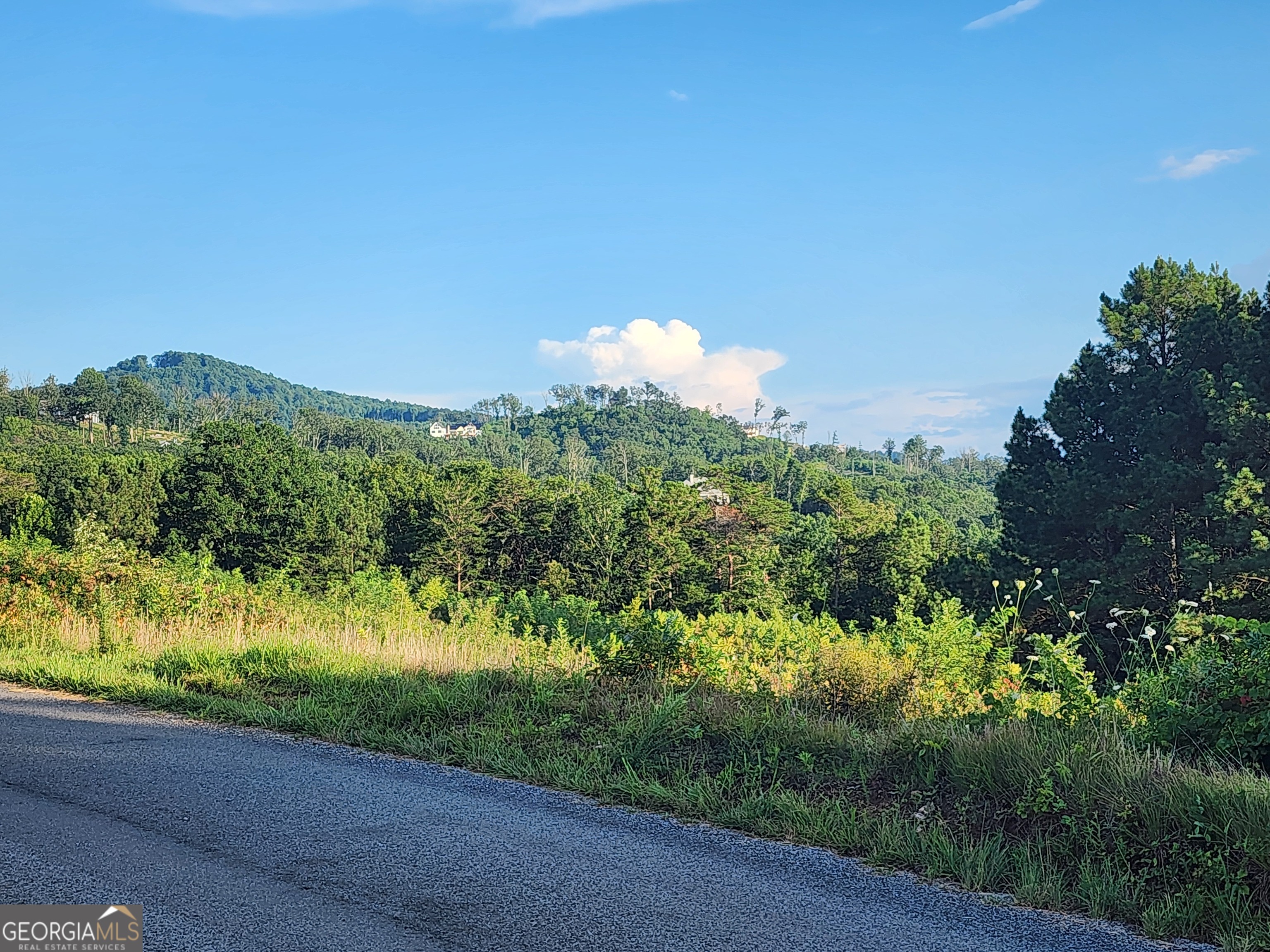2027 Pleasant Valley Road Talking Rock GA 30175