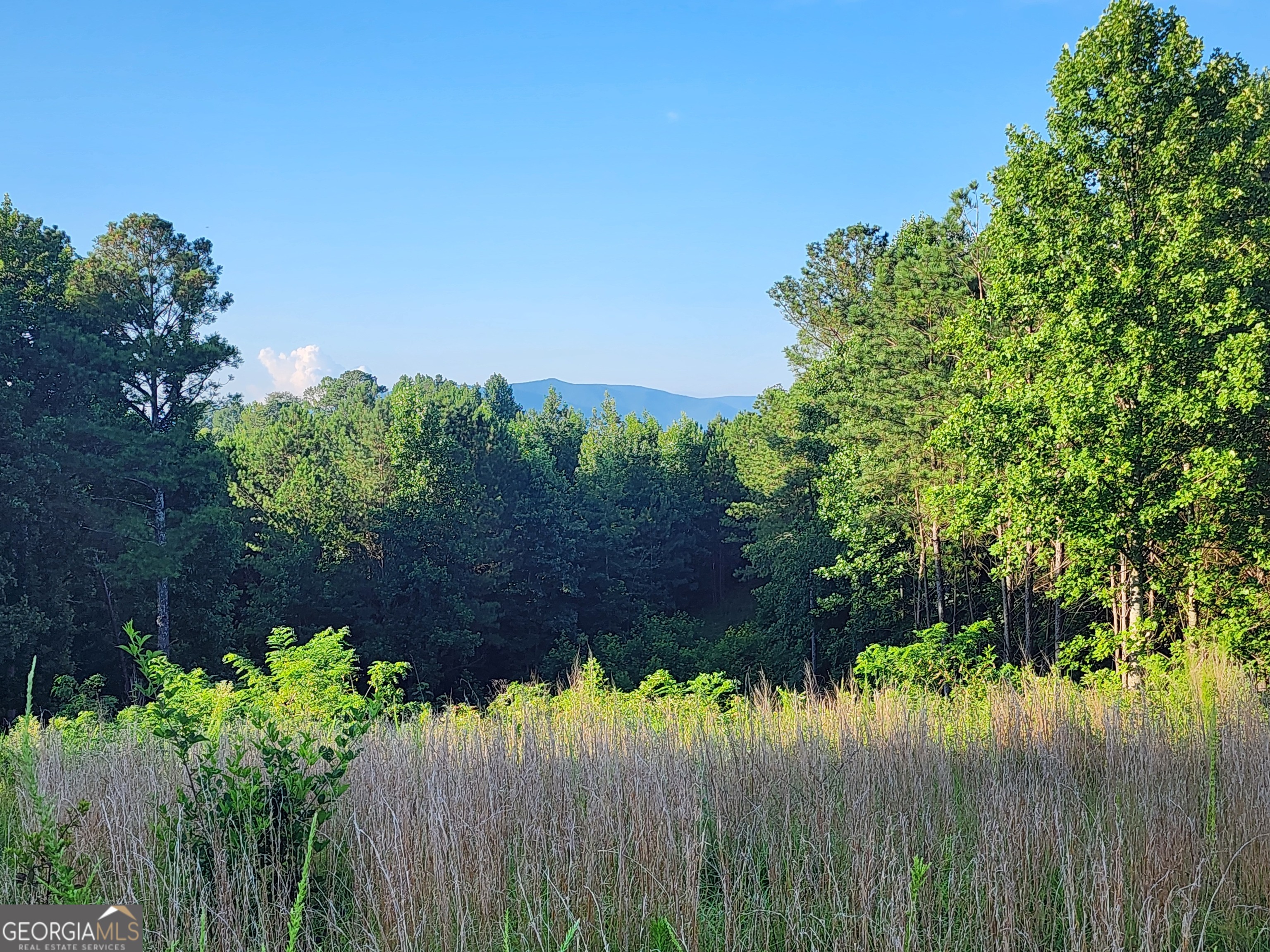 2027 Pleasant Valley Road Talking Rock GA 30175