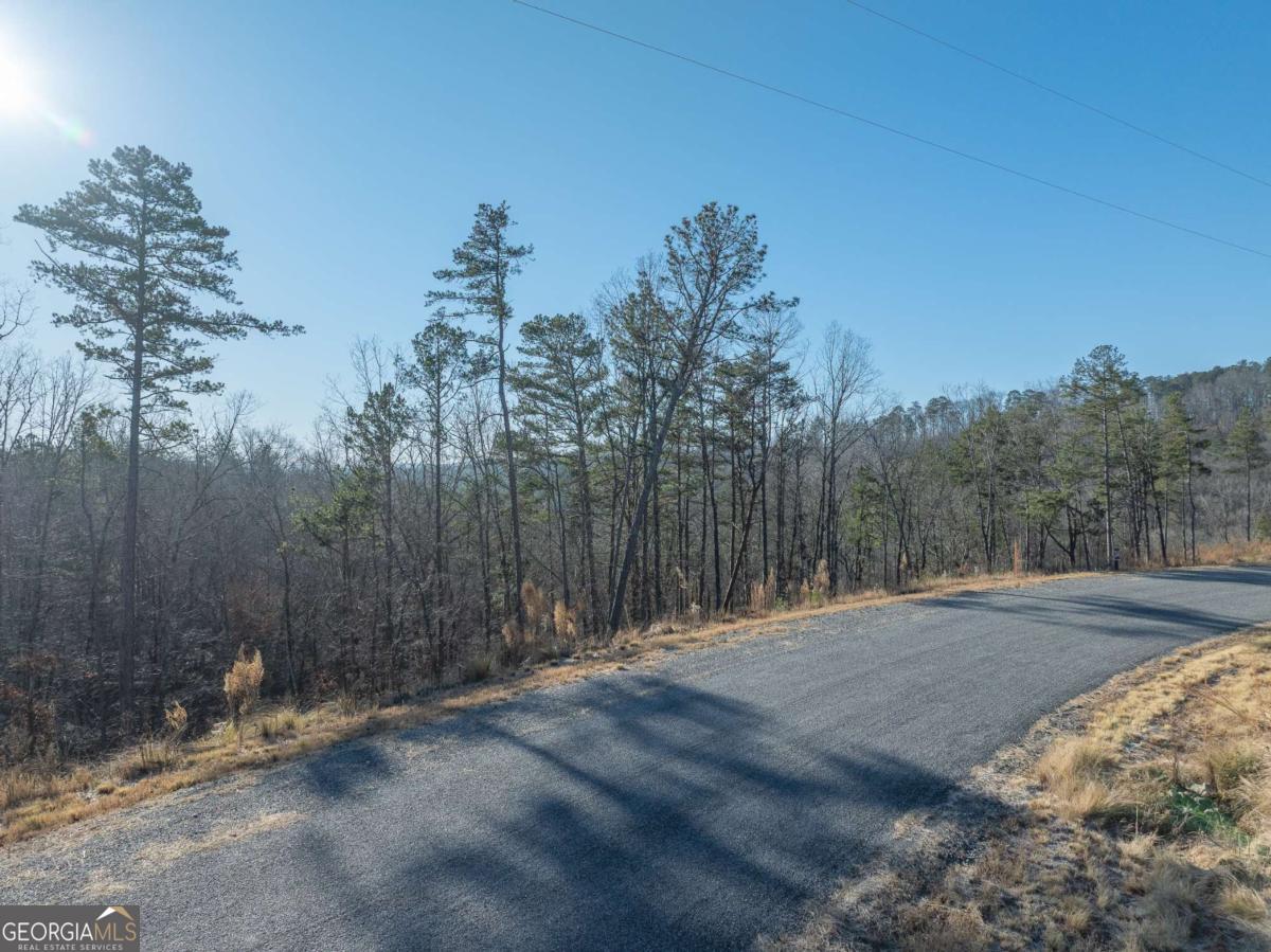 Lot 244 Spear Point Drive Talking Rock GA 30175