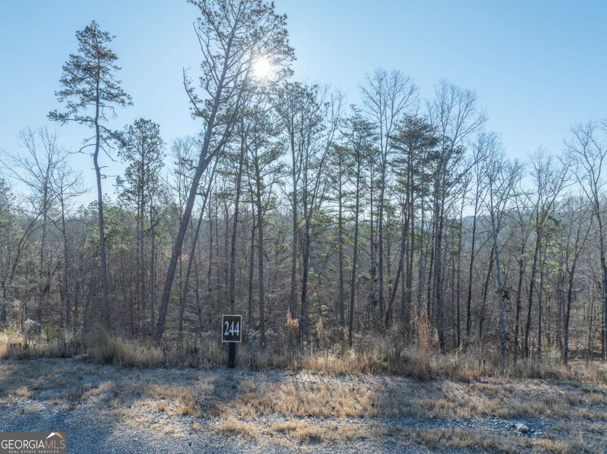 Lot 244 Spear Point Drive Talking Rock GA 30175