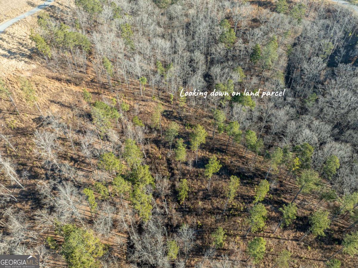 Lot 244 Spear Point Drive Talking Rock GA 30175