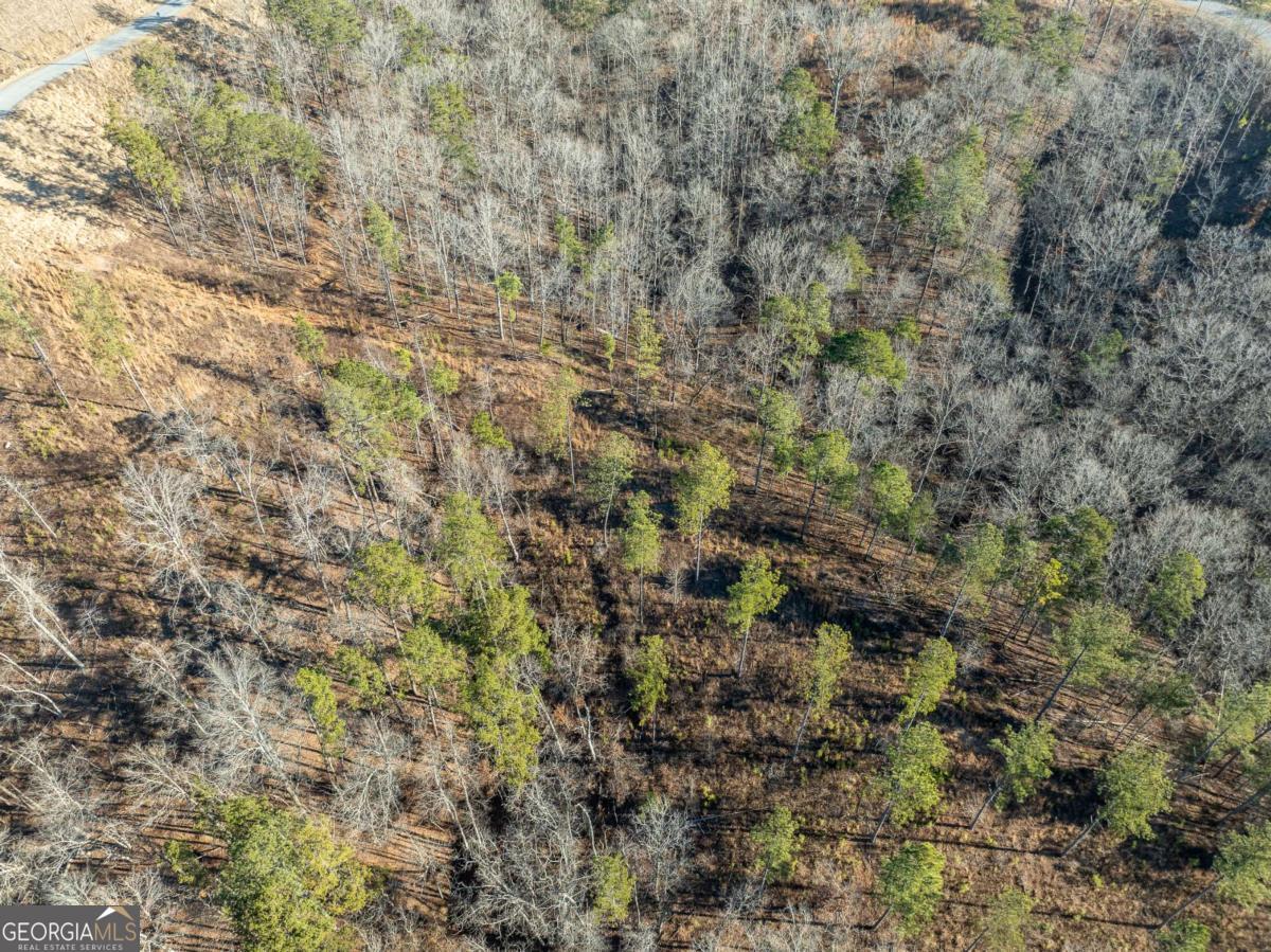 Lot 244 Spear Point Drive Talking Rock GA 30175