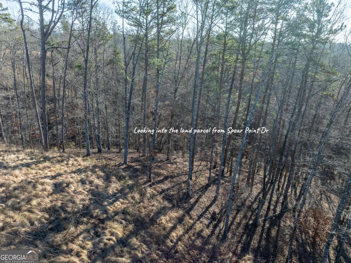 Lot 244 Spear Point Drive Talking Rock GA 30175