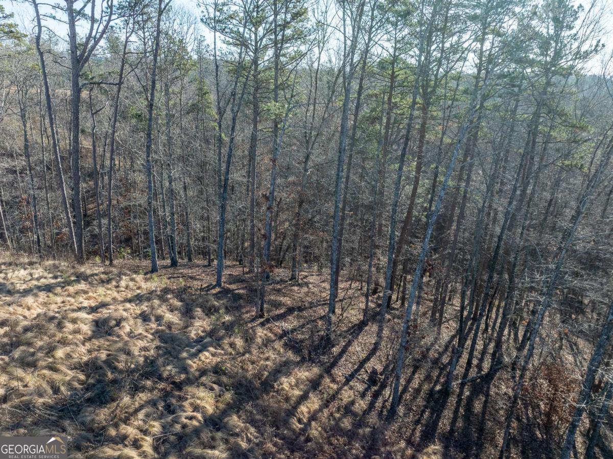 Lot 244 Spear Point Drive Talking Rock GA 30175