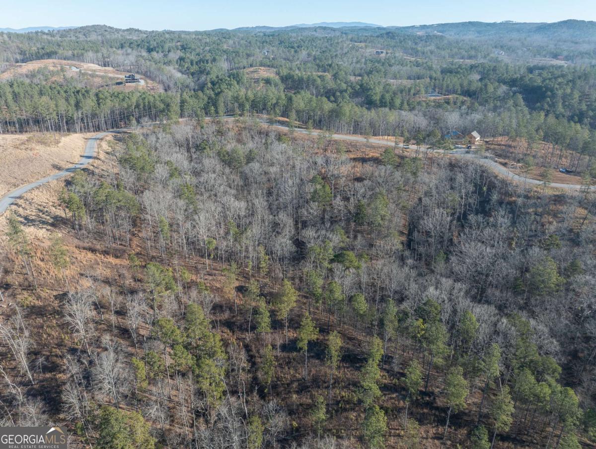 Lot 244 Spear Point Drive Talking Rock GA 30175