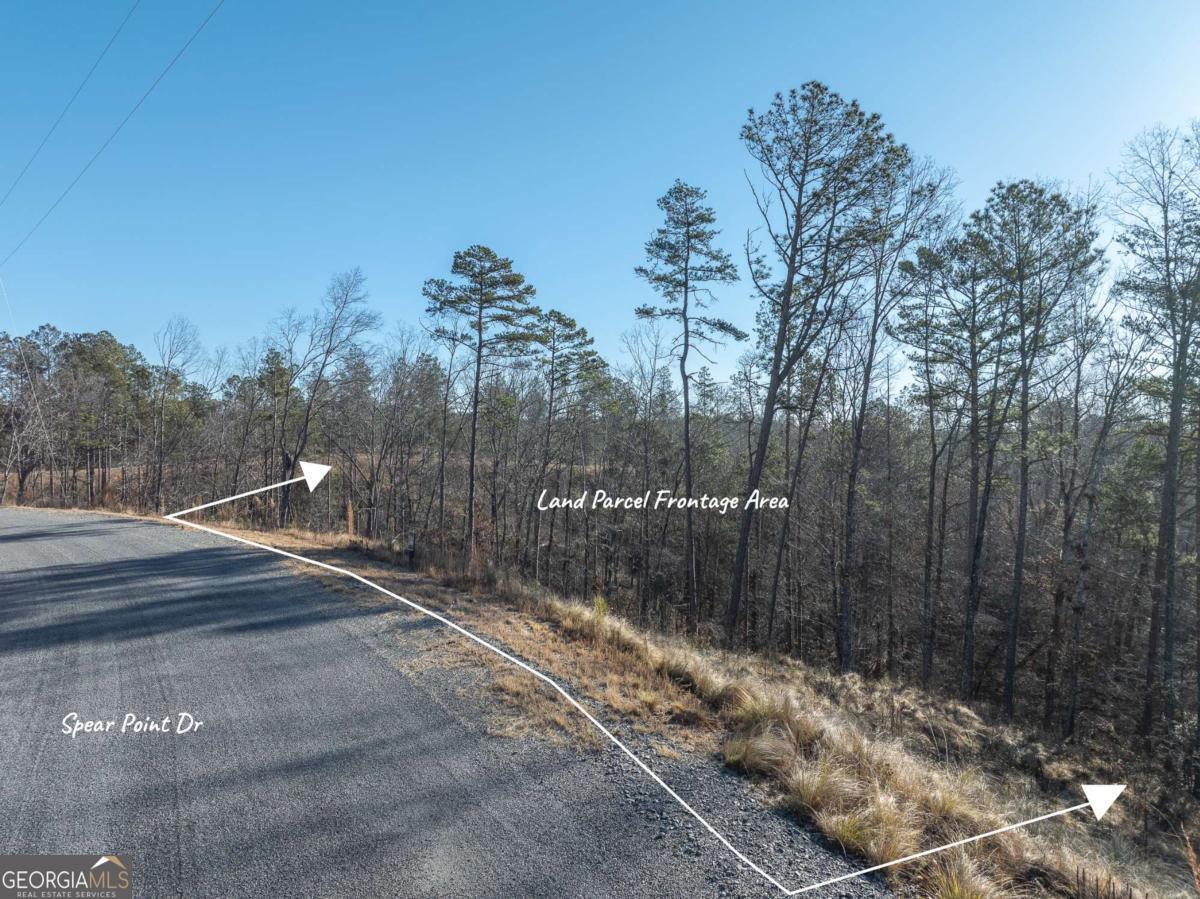 Lot 244 Spear Point Drive Talking Rock GA 30175