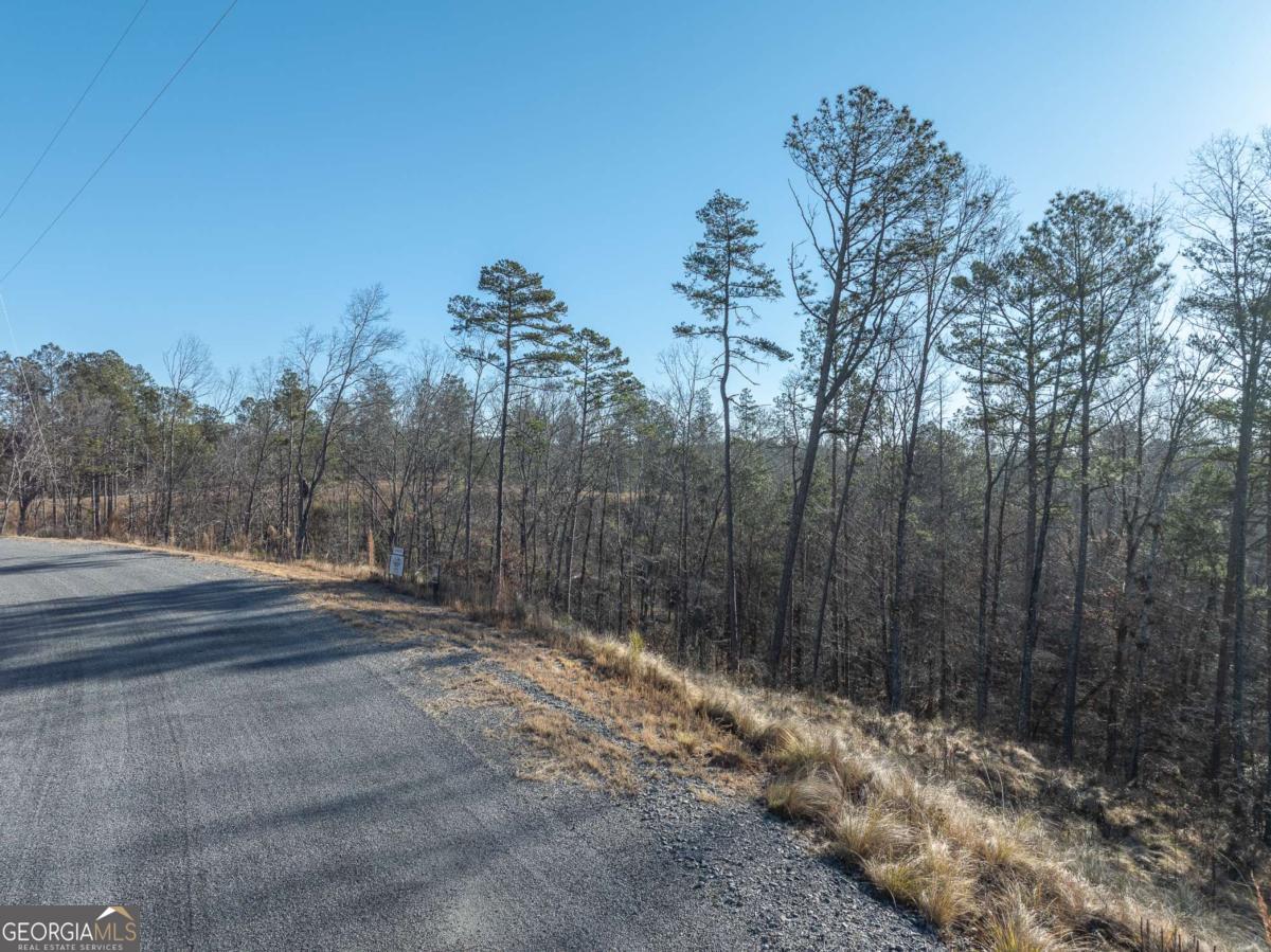 Lot 244 Spear Point Drive Talking Rock GA 30175