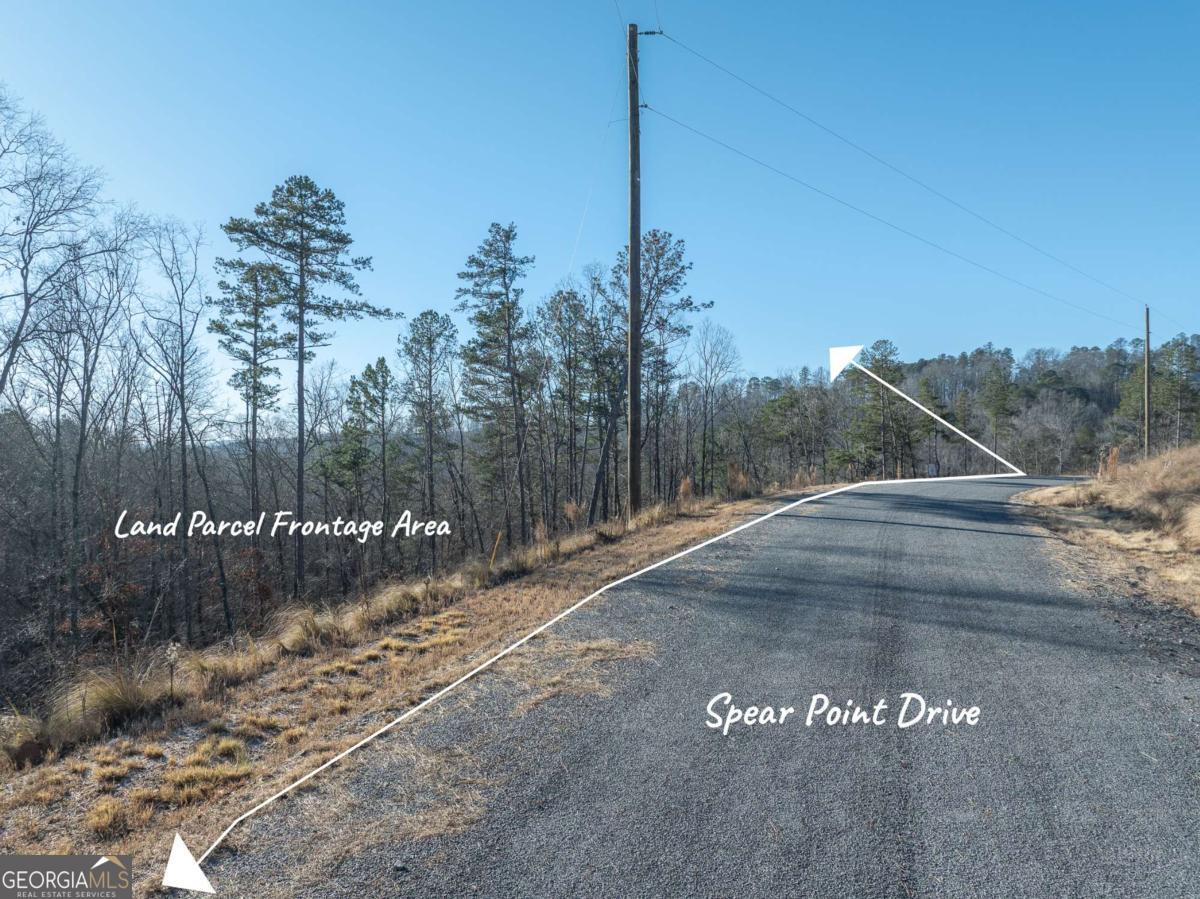 Lot 244 Spear Point Drive Talking Rock GA 30175