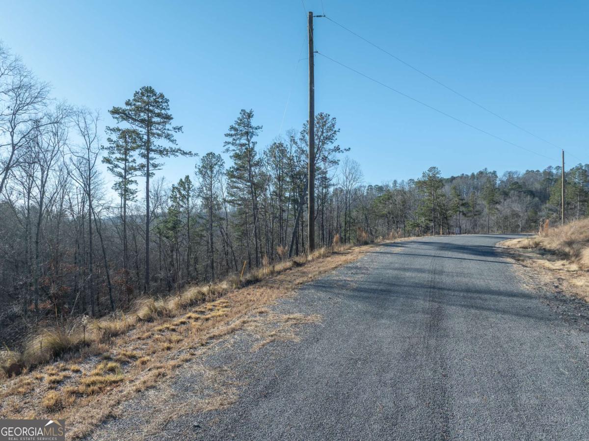Lot 244 Spear Point Drive Talking Rock GA 30175