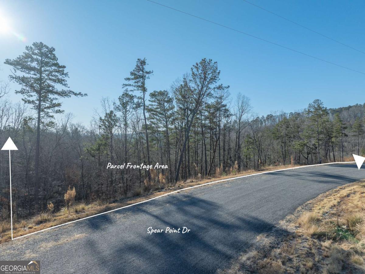 Lot 244 Spear Point Drive Talking Rock GA 30175
