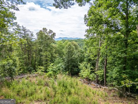 Lt 1 Stormy Ridge Brasstown NC 28902