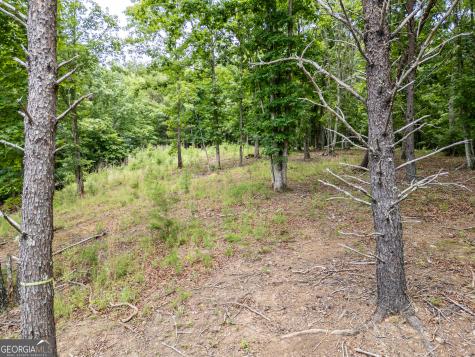 Lt 1 Stormy Ridge Brasstown NC 28902