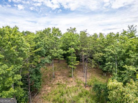 Lt 1 Stormy Ridge Brasstown NC 28902