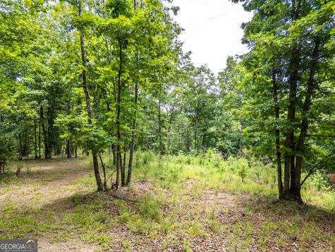 Lt 1 Stormy Ridge Brasstown NC 28902