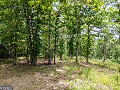 Lt 1 Stormy Ridge Brasstown NC 28902