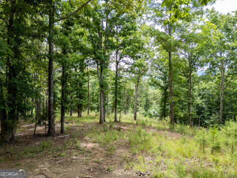 Lt 1 Stormy Ridge Brasstown NC 28902