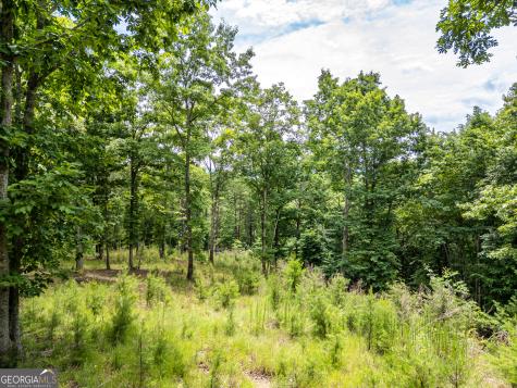 Lt 1 Stormy Ridge Brasstown NC 28902