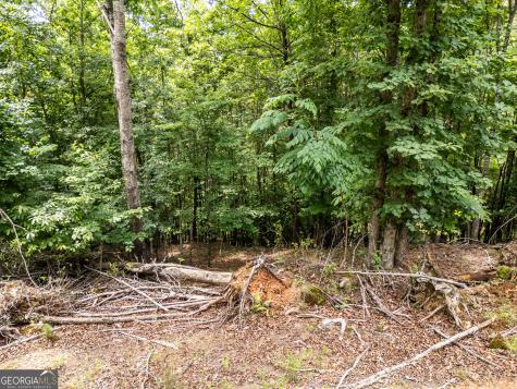 Lt 1 Stormy Ridge Brasstown NC 28902
