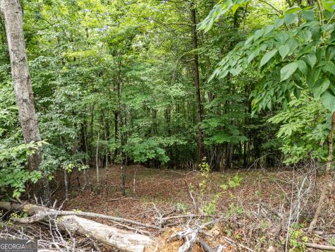 Lt 1 Stormy Ridge Brasstown NC 28902