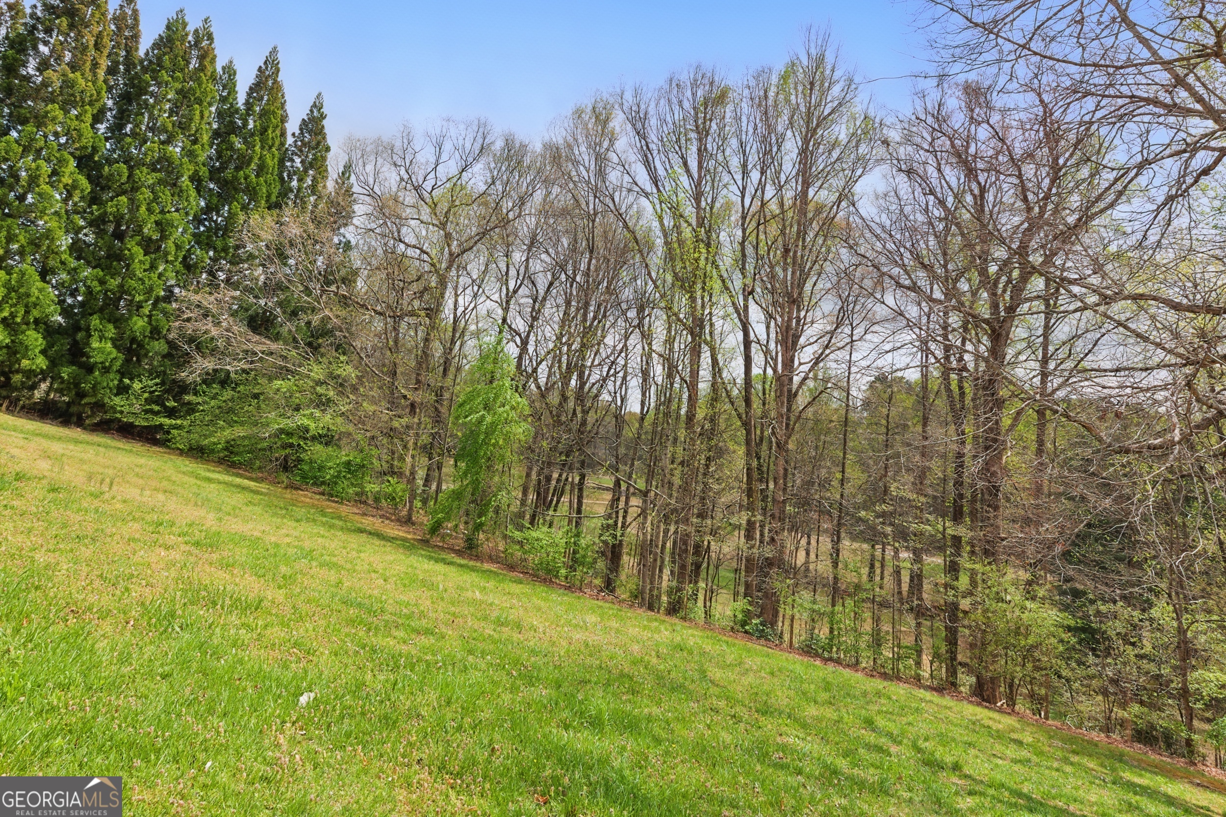 0 Granny Smith Circle Clarkesville GA 30523