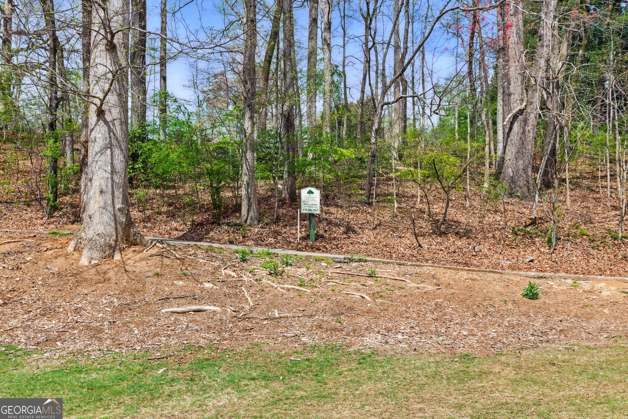 0 Granny Smith Circle Clarkesville GA 30523