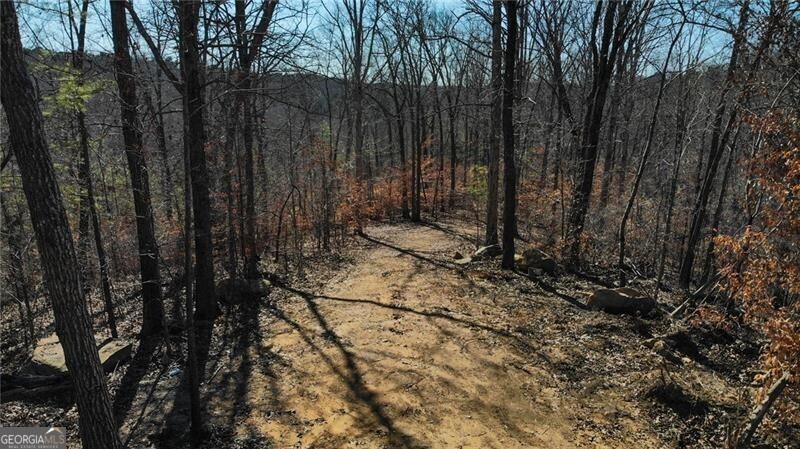 5.419 Acres On Pete Path Dallas GA 30157