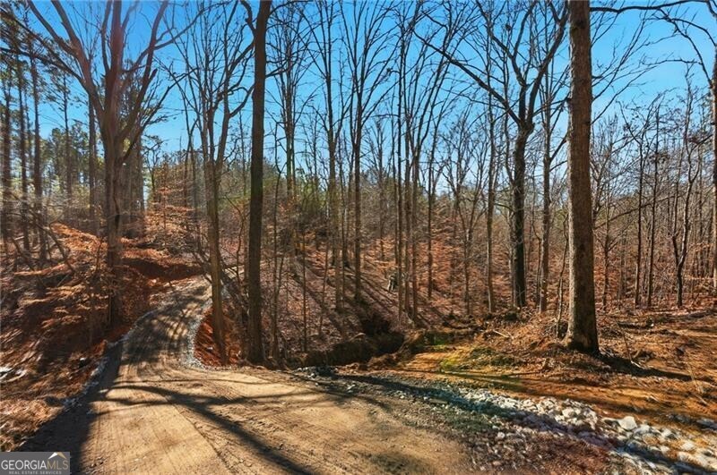 5.419 Acres On Pete Path Dallas GA 30157