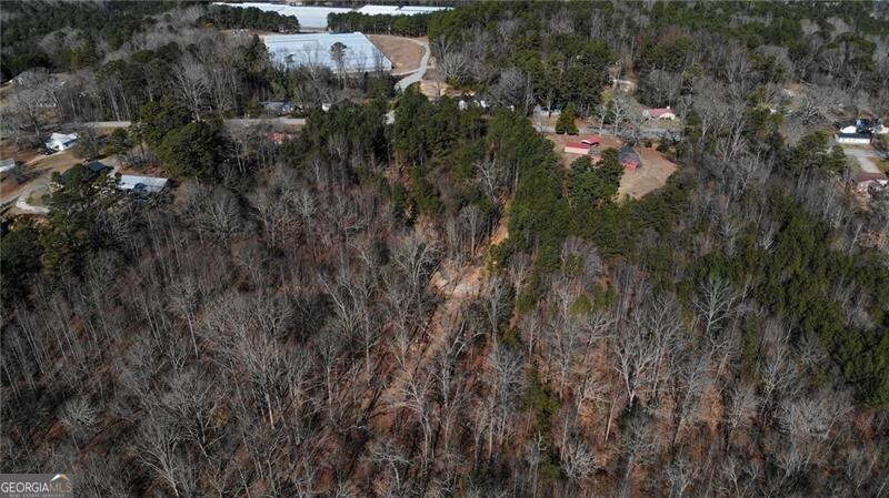 5.419 Acres On Pete Path Dallas GA 30157