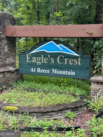 Lts 43 & 44 Reece Mountain Road Ellijay GA 30536