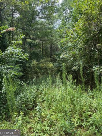 Lts 43 & 44 Reece Mountain Road Ellijay GA 30536