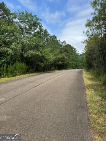 Lts 43 & 44 Reece Mountain Road Ellijay GA 30536