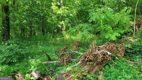 0 High Cliff Road Jasper GA 30143