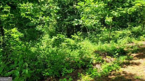 0 High Cliff Road Jasper GA 30143