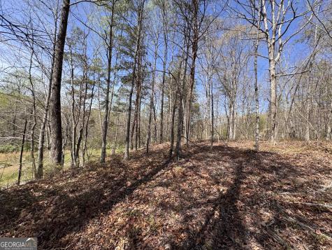 0 Highway 129 N Cleveland GA 30528