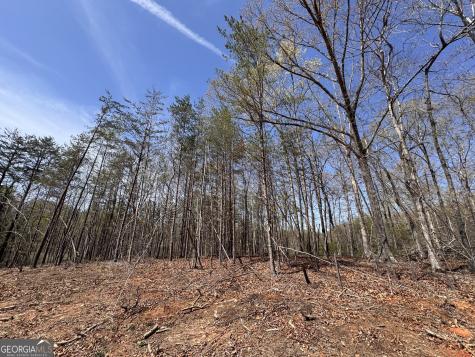 0 Highway 129 N Cleveland GA 30528