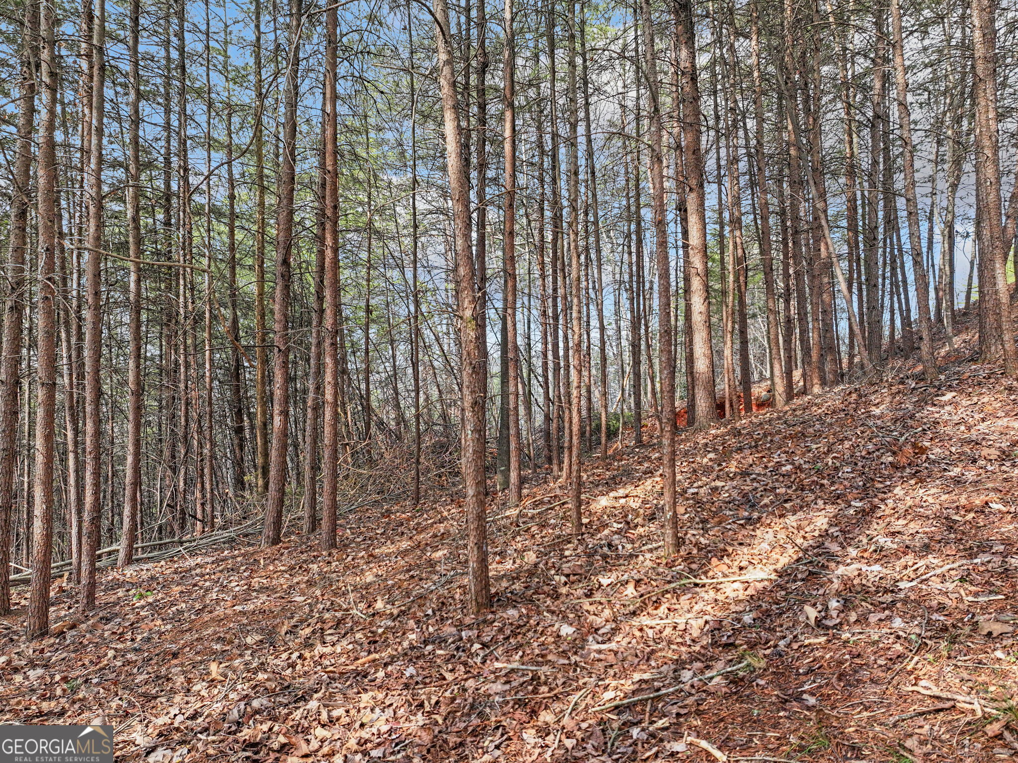 Lot 28 Crown Mountain Way Dahlonega GA 30533
