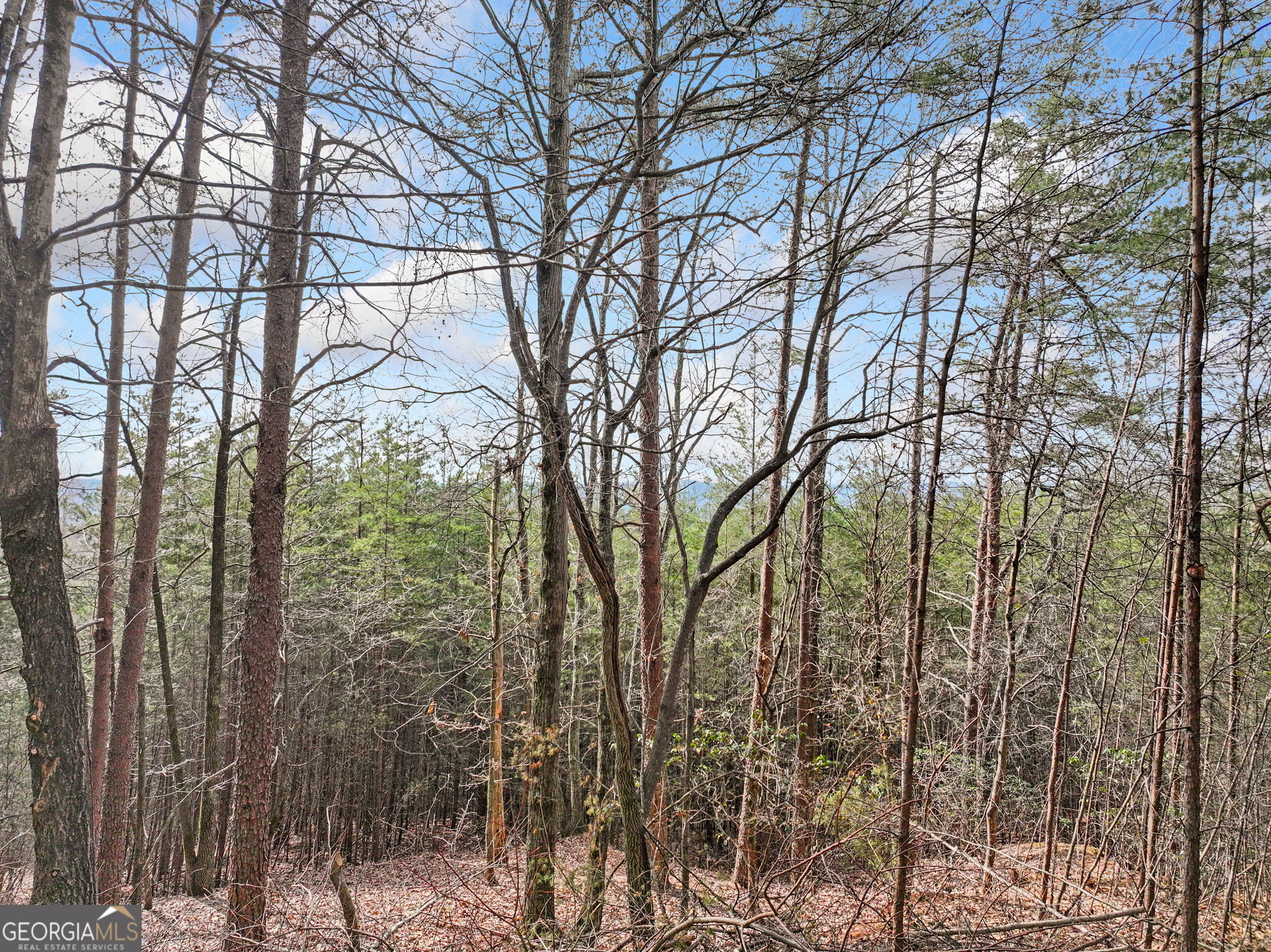 Lot 28 Crown Mountain Way Dahlonega GA 30533