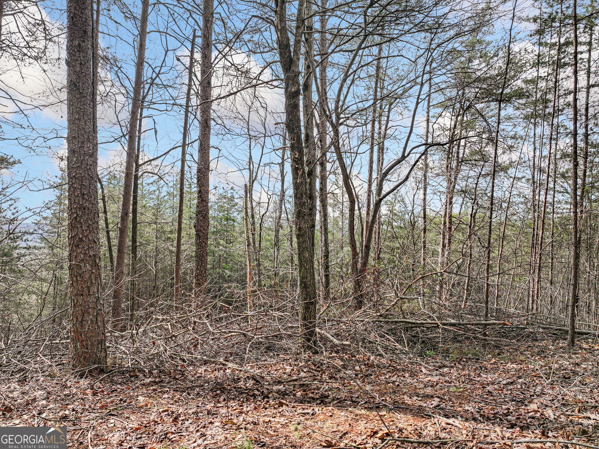 Lot 28 Crown Mountain Way Dahlonega GA 30533