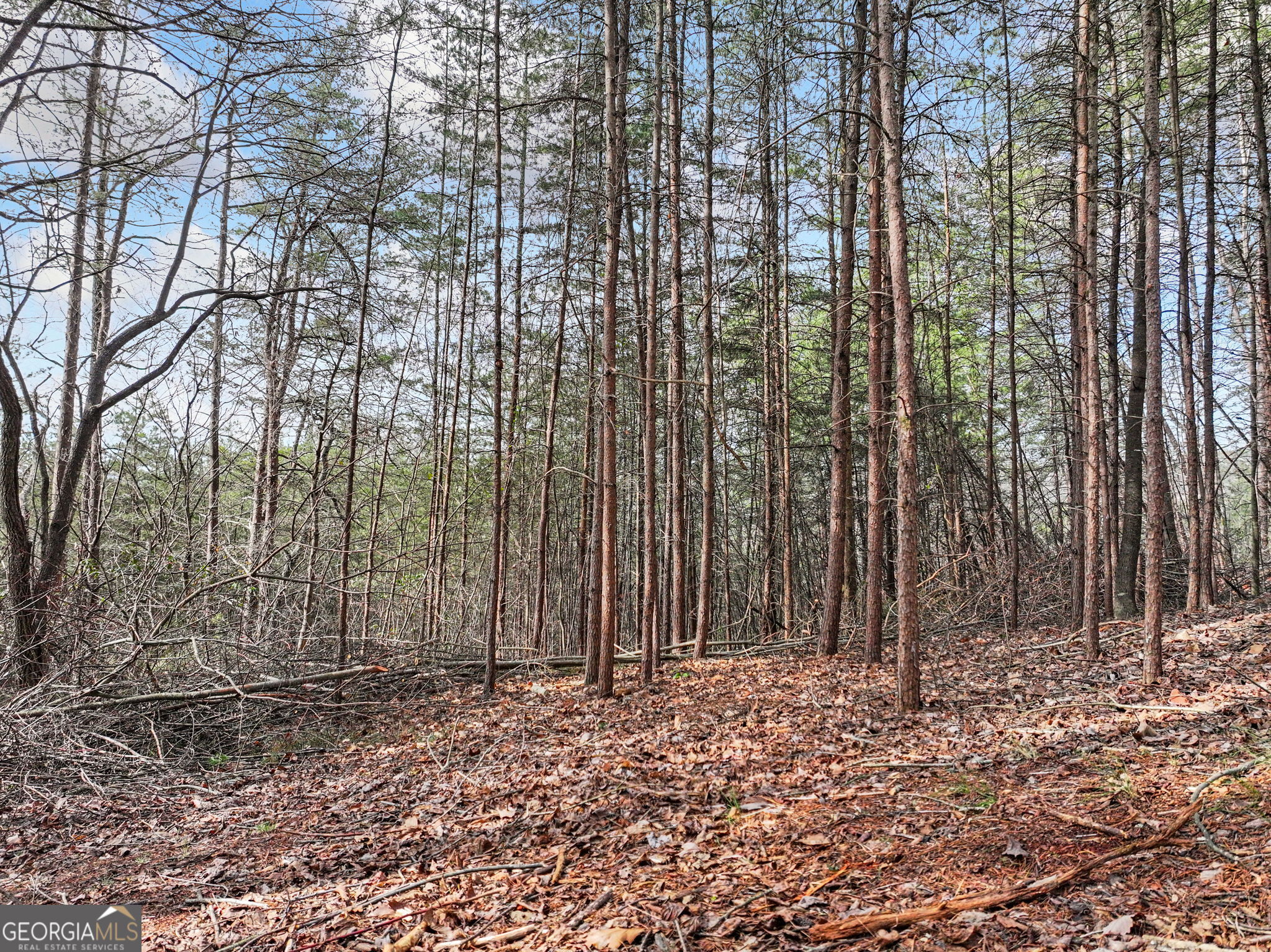 Lot 28 Crown Mountain Way Dahlonega GA 30533