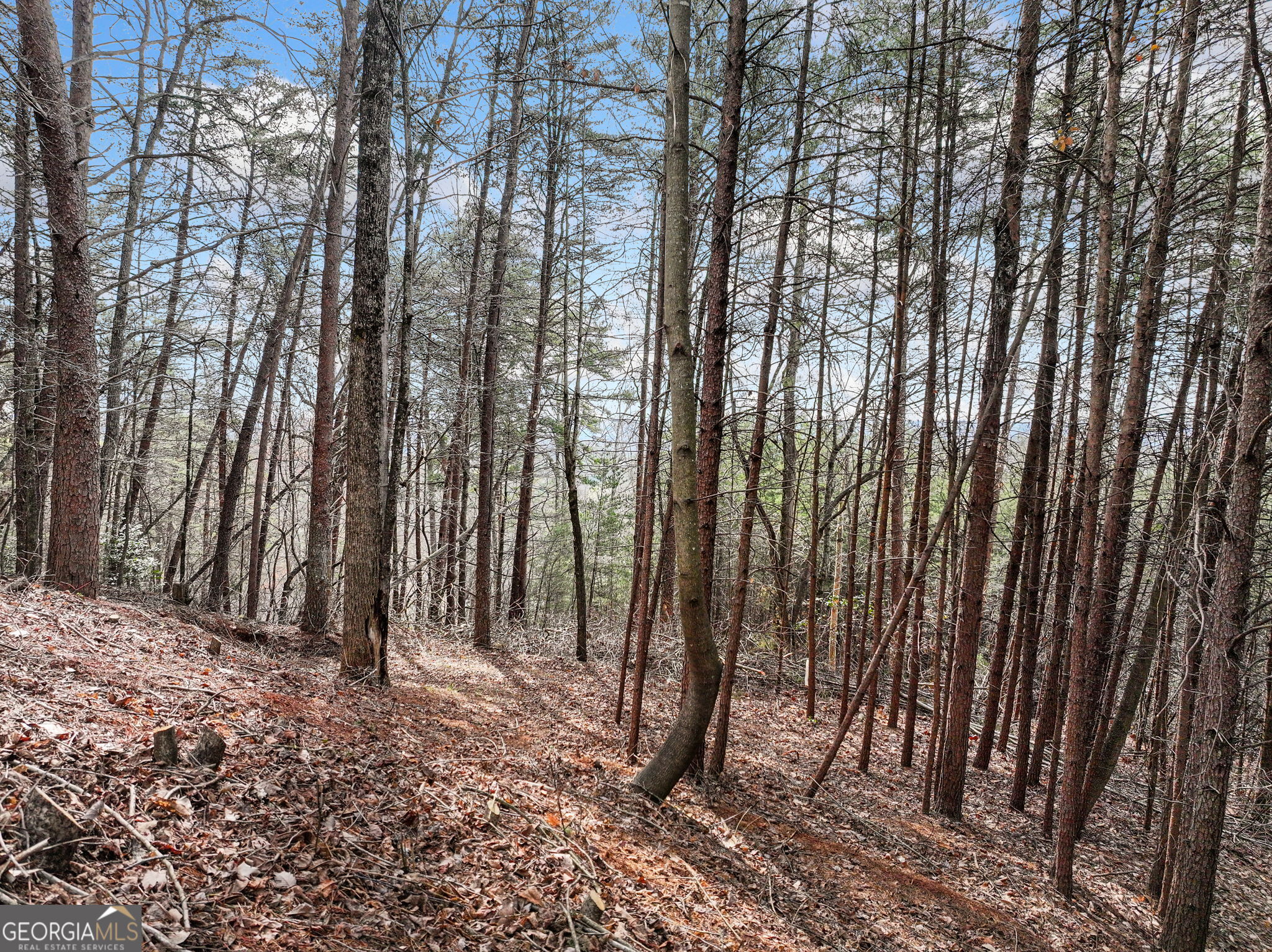 Lot 28 Crown Mountain Way Dahlonega GA 30533