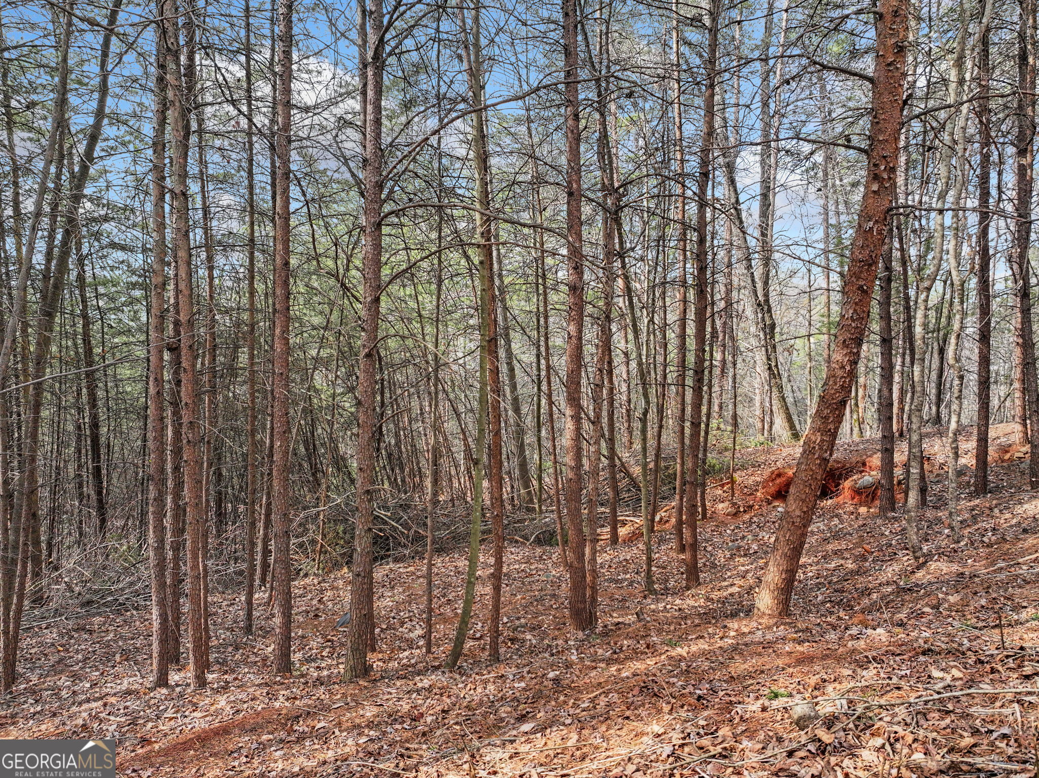 Lot 28 Crown Mountain Way Dahlonega GA 30533