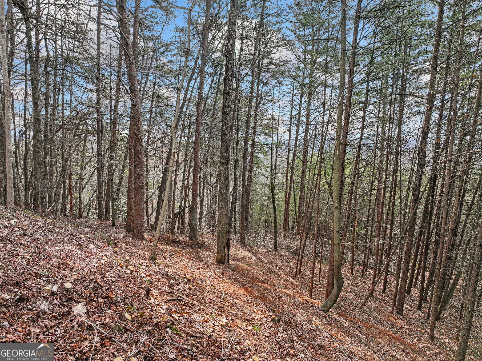 Lot 28 Crown Mountain Way Dahlonega GA 30533