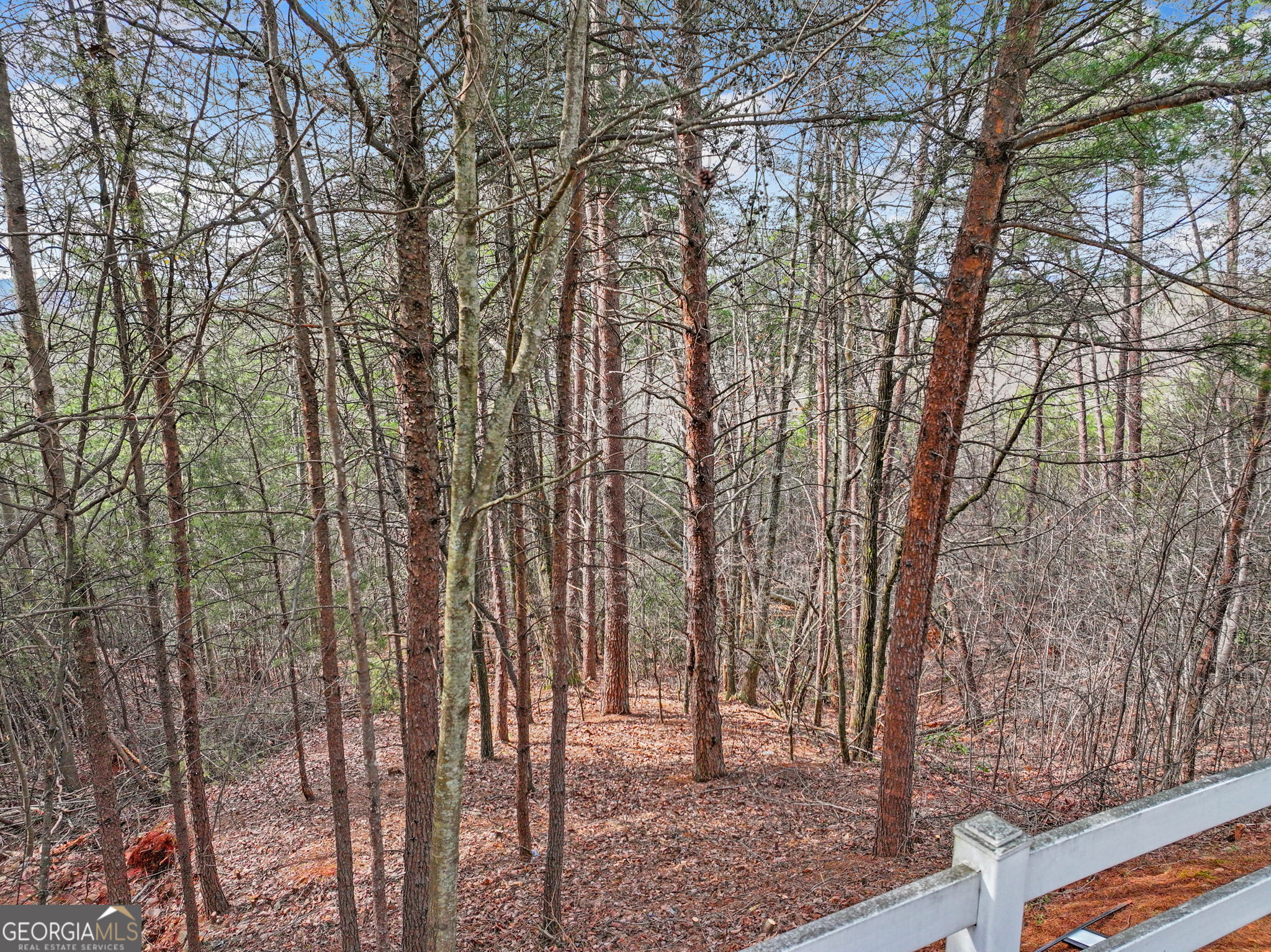 Lot 28 Crown Mountain Way Dahlonega GA 30533