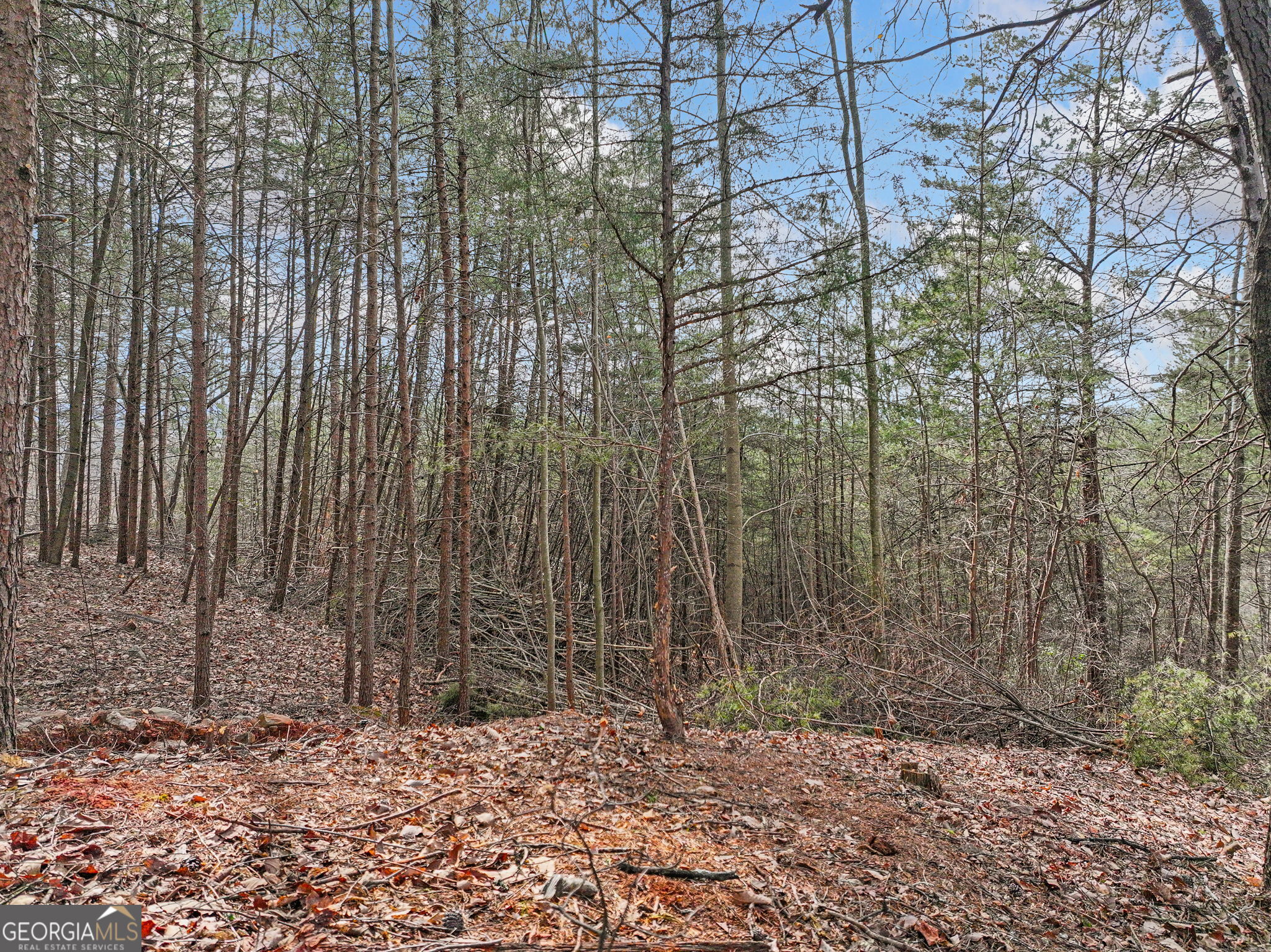 Lot 28 Crown Mountain Way Dahlonega GA 30533