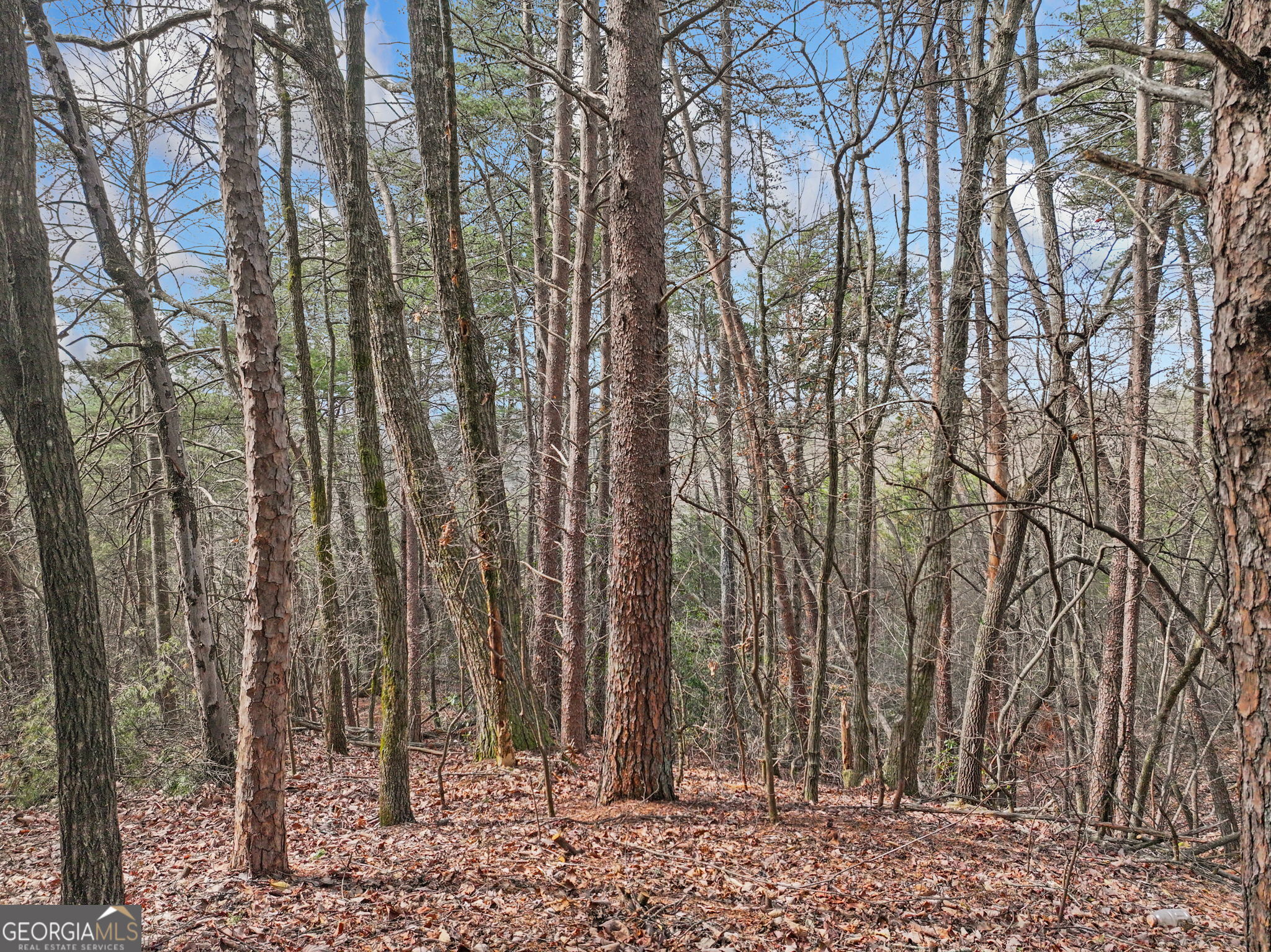 Lot 28 Crown Mountain Way Dahlonega GA 30533