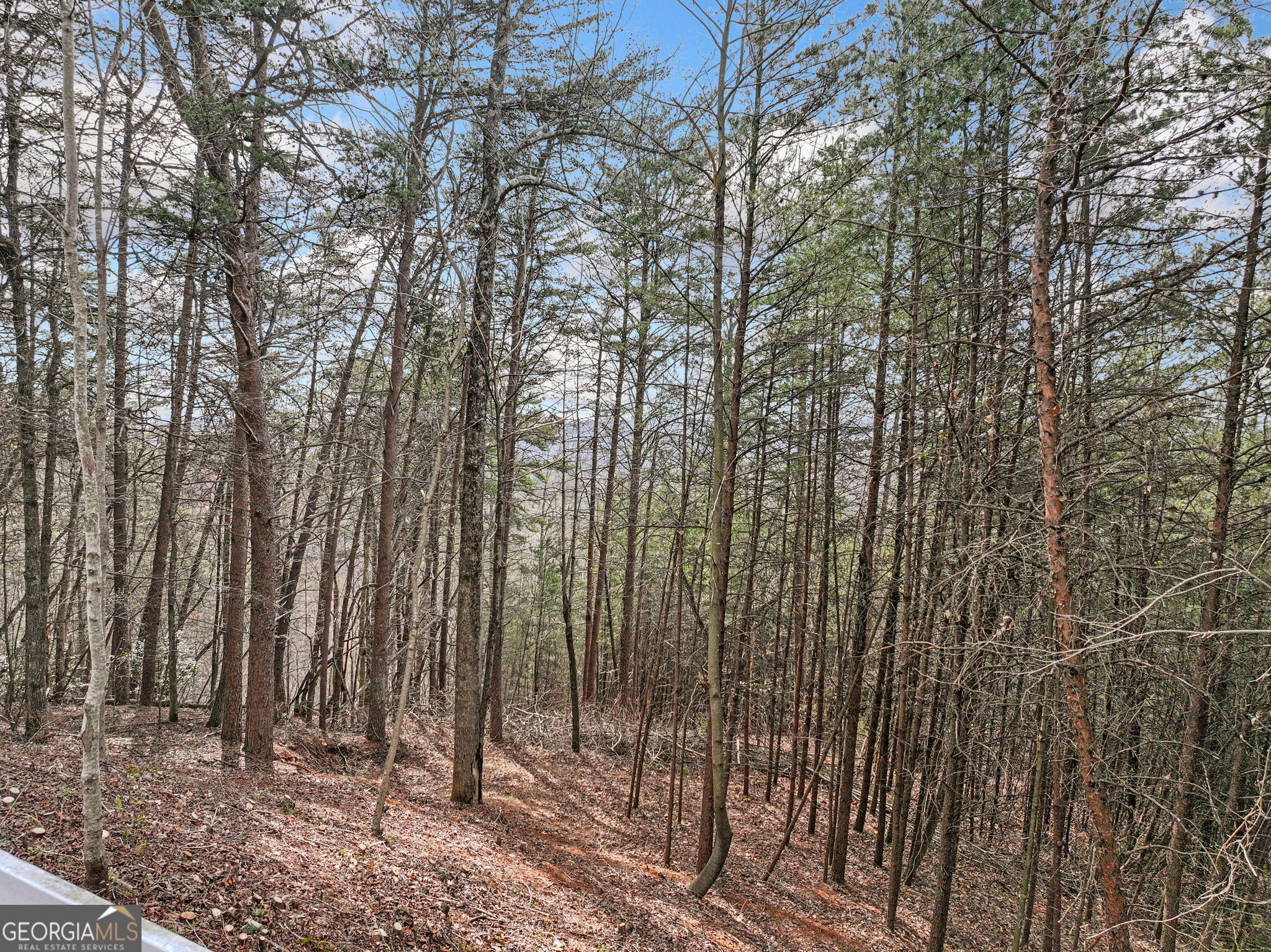 Lot 28 Crown Mountain Way Dahlonega GA 30533